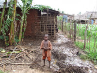 2007